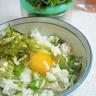 食欲のない夏場に・・しそ卵丼